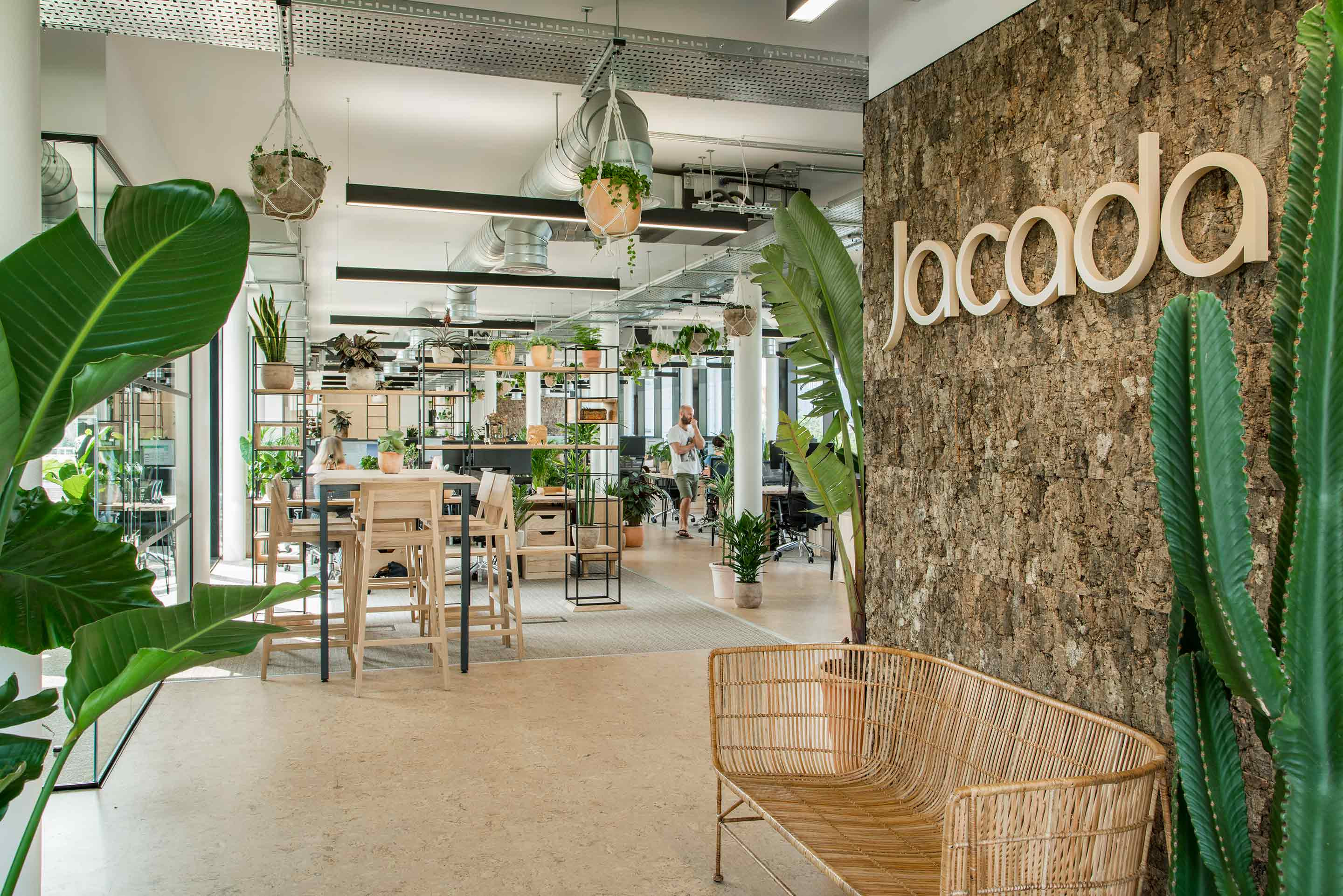 Open plan office with cork wall exposed ceiling and biophilia