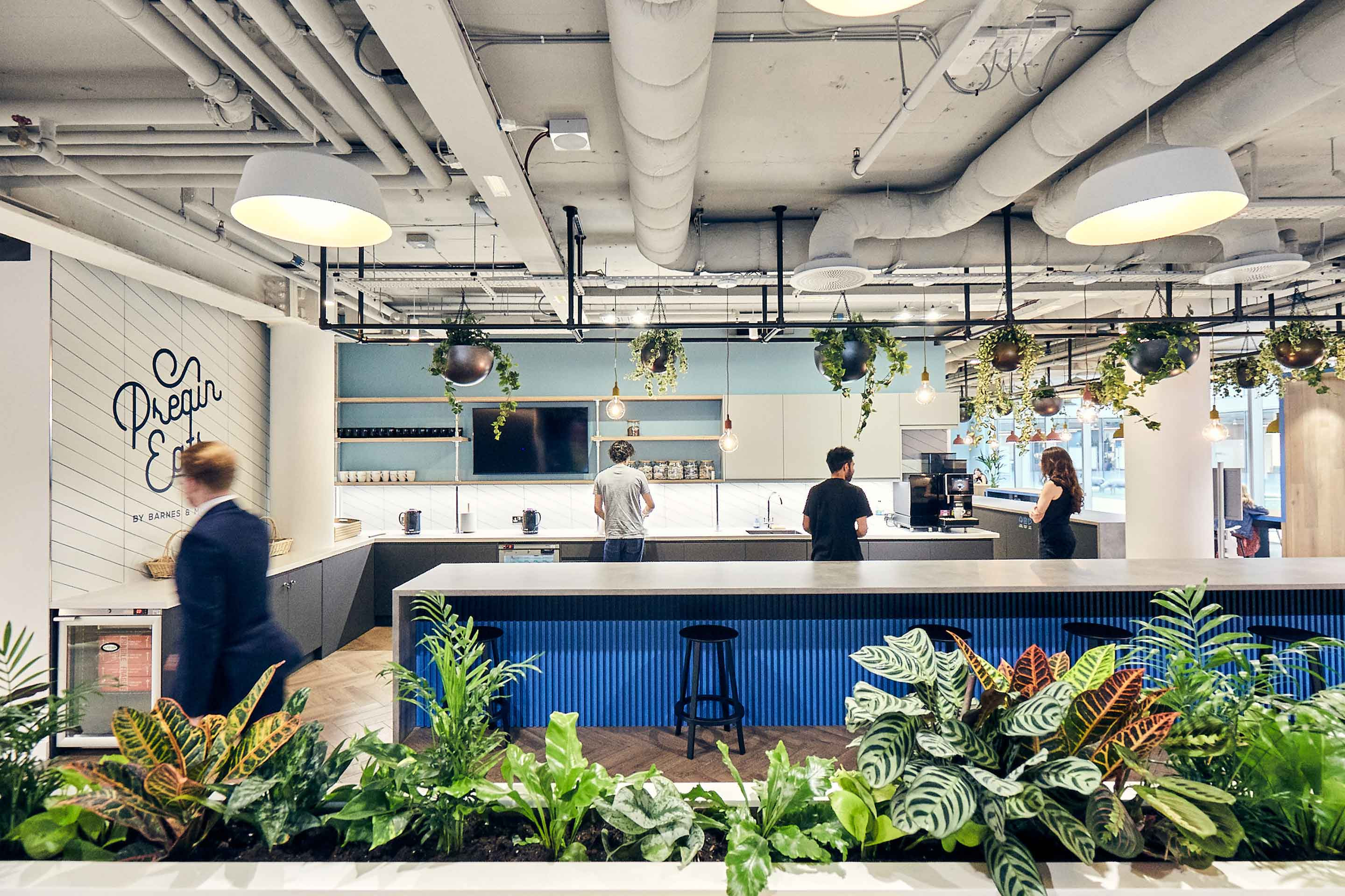 Modern office kitchen area with people, hanging plants, and indoor foliage.